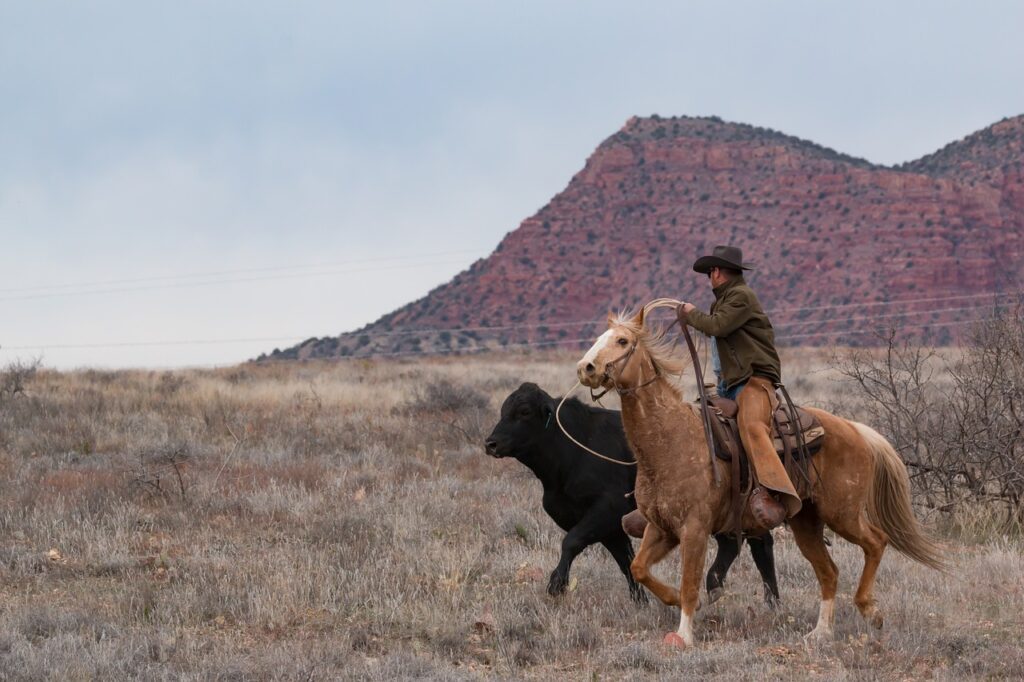 cowboy, horse, western